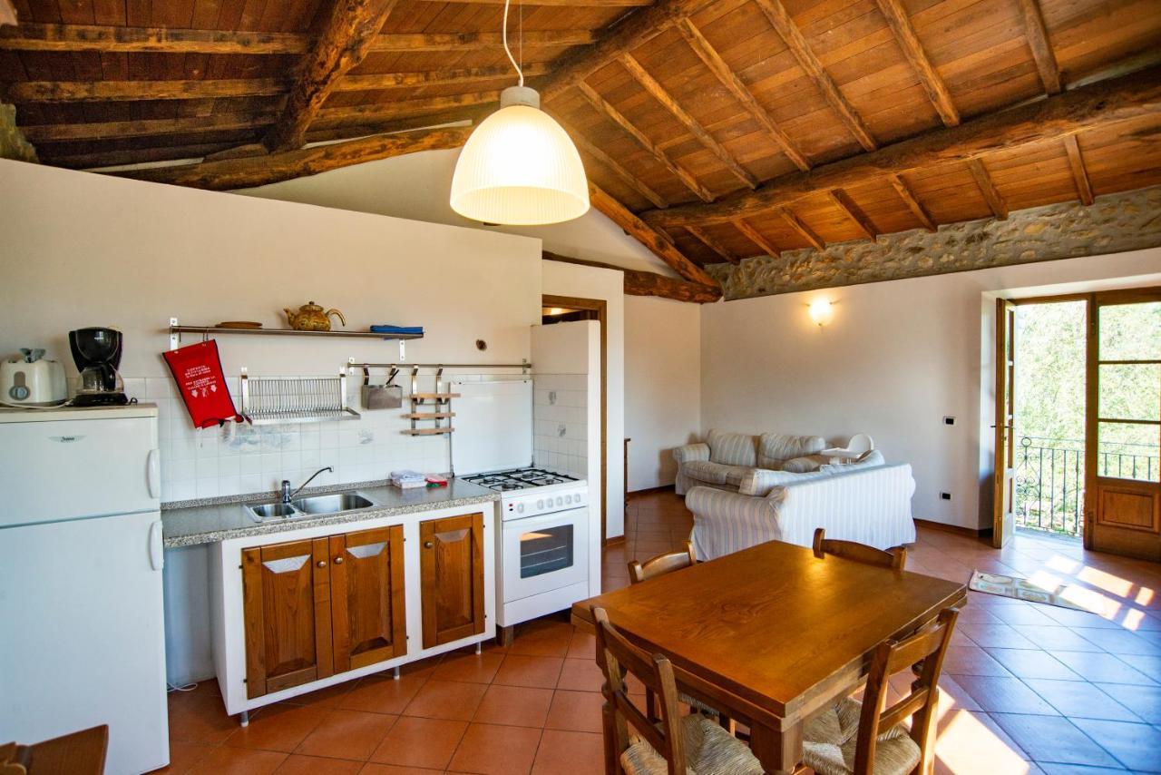 Agriturismo Il Corniolo Castiglione di Garfagnana Buitenkant foto